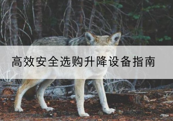 武陟升降货梯厂家推荐-*安全选购升降设备指南