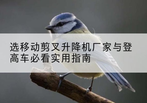 武陟电动升降机厂家-选移动剪叉升降机厂家与登高车必看实用指南