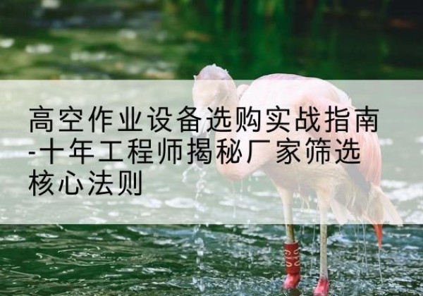 武陟剪叉式升降机厂家-高空作业设备选购实战指南-十年工程师揭秘厂家筛选核心法则